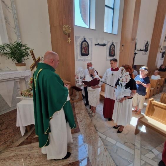 image6