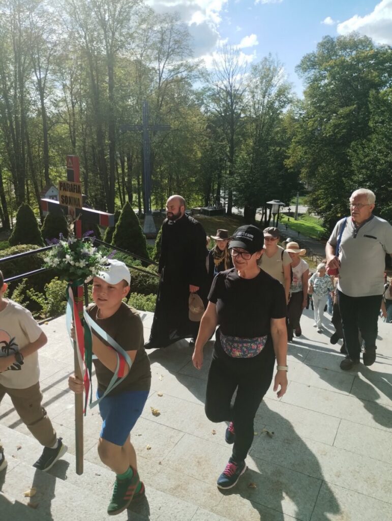image-4499373903711610